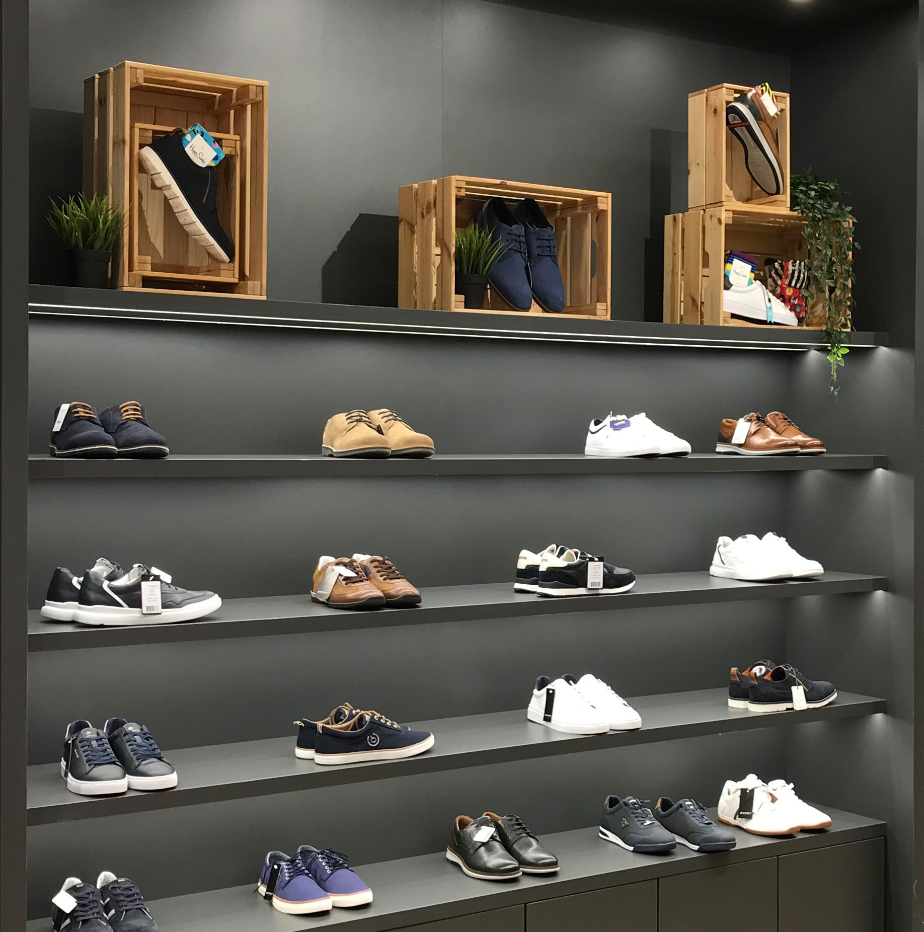83,300+ Shoe Display Stock Photos, Pictures & Royalty-Free Images - iStock  | Shoe display mockup, Running shoe display
